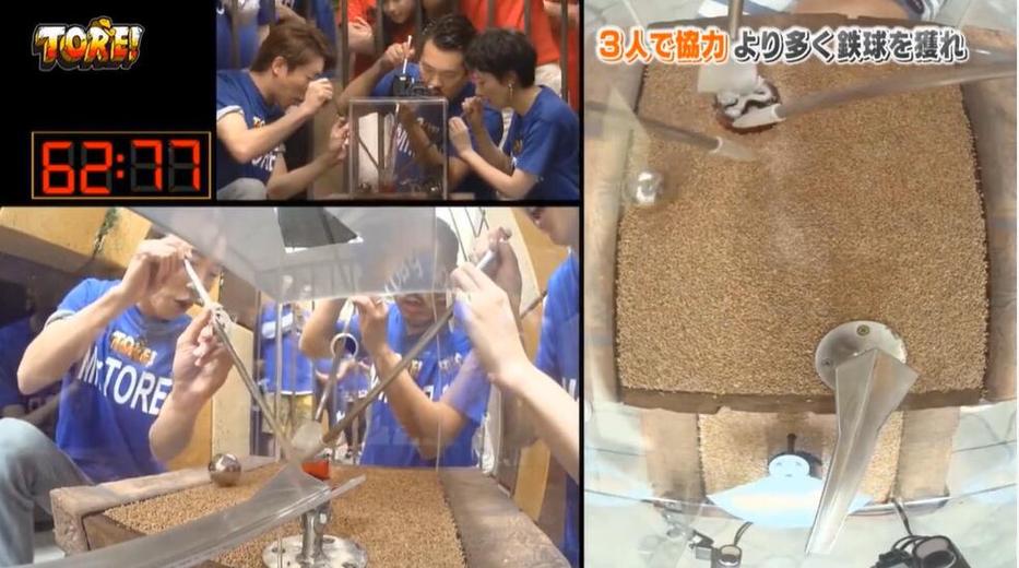 从“日本真人秀”到“综艺节目”，日本娱乐文化的深度解析