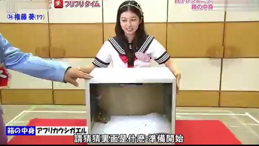 新好女孩浮出水面！《偶像的穴》在哪看？独家揭秘选手名单