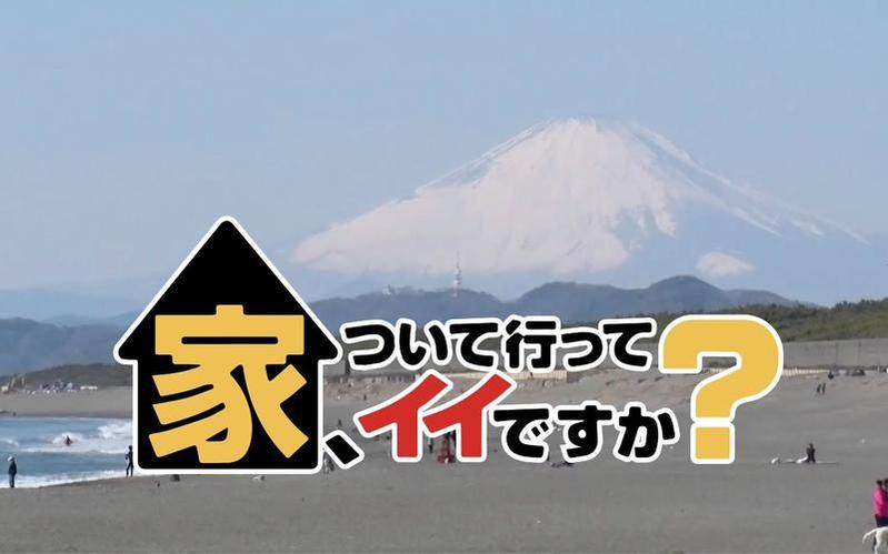 “迷失”的灵魂在《可以跟拍你回家吗》中找回归属感
