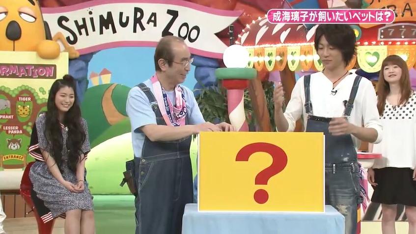 从年代到主题：深入探究日本放屁节目的类型及特色