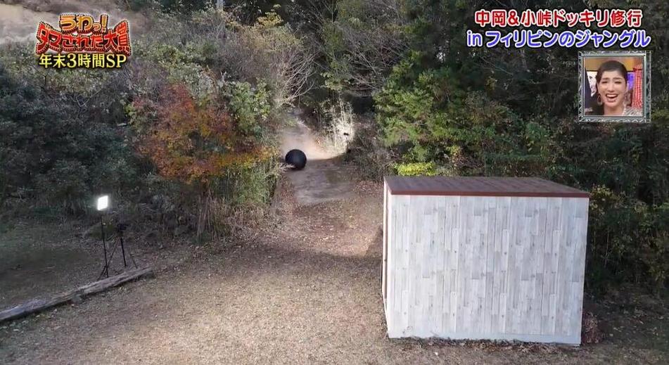 日本综艺里最爆笑的节目！《整人大赏》全部资源揭秘