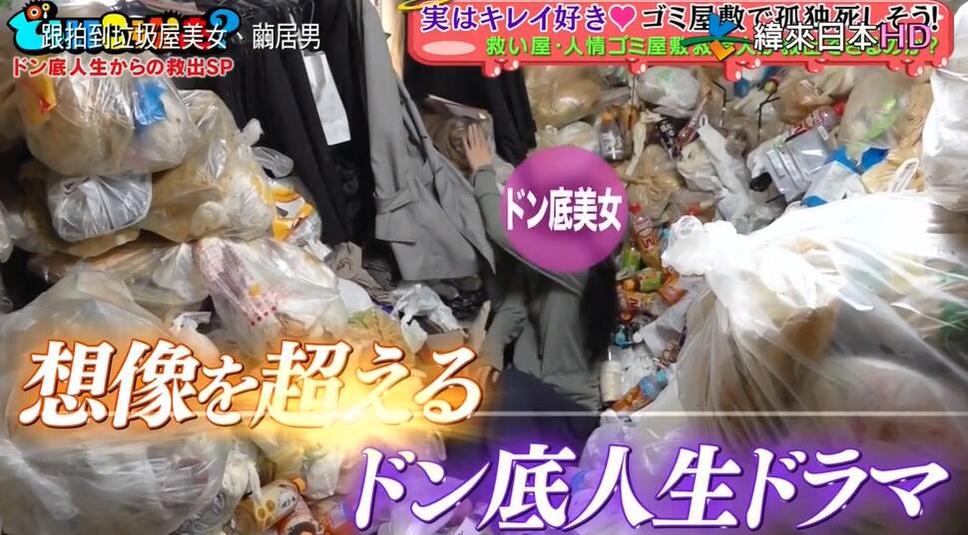 看《跟拍到你家》百度百科，探寻日本人生阅历和故事