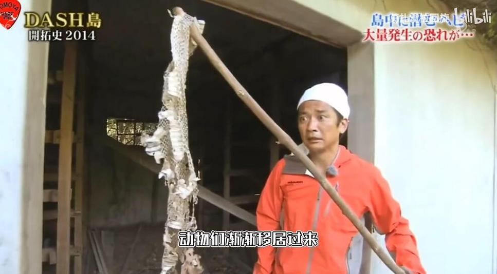 《铁腕dash巧克力》短时间排除混乱干扰，闯过山丘赢得牌照